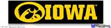 12x3 Bumper Sticker (Permanent) - Iowa Hawkeyes Tigerhawk Oval 03 Gold on Black Horizontal
